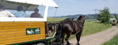 Wilke Mühle in Usseln